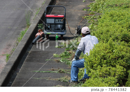 生垣剪定作業休息 78441382