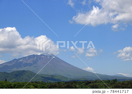 盛岡市緑が丘から望む初夏の岩手山 78441717