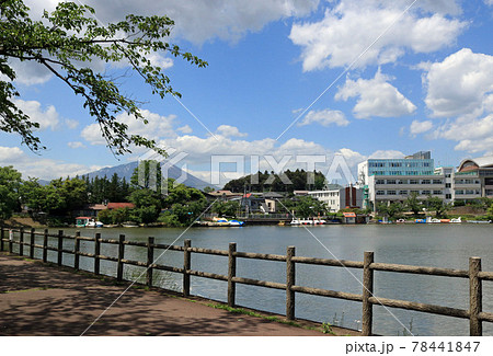 初夏の高松の池 初夏の高松の池 78441847