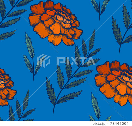 Seamless pattern with colorful botanical sketch of marigold flowers and branch with leaves on blue background. Vector textile with floral drawing 78442004