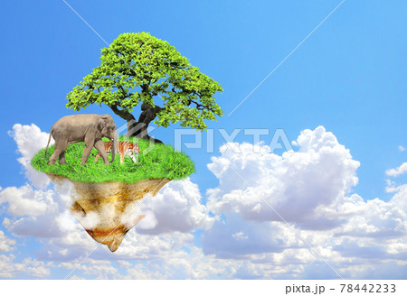 Fantasy floating island with green grass, tree, wild animals Fantasy floating island with green grass, tree, wild animals 78442233