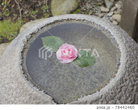 一茶双樹記念館　千葉県流山市 78442460