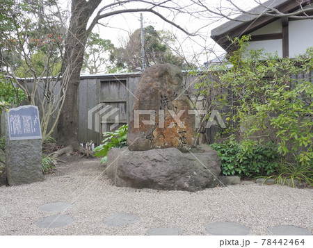 一茶双樹記念館 千葉県流山市 一茶双樹記念館 千葉県流山市 78442464