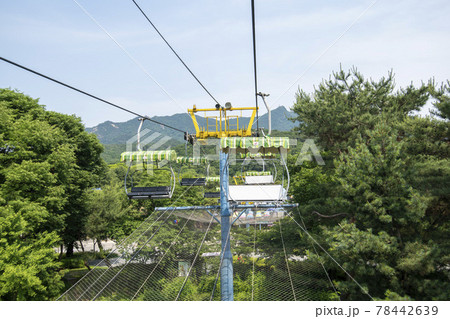 夏 貯水池 自然 78442639