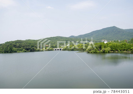 夏 貯水池 自然 78443051