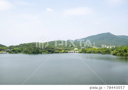 風景 夏 貯水池 78443057
