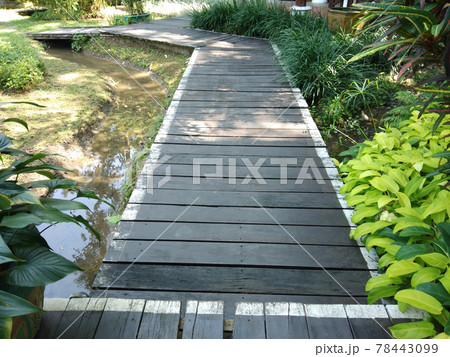 Walking path in the garden. Thailand Spa Resort wooden walkway. 78443099