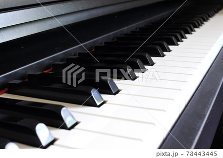 電子ピアノの鍵盤 電子ピアノの鍵盤 78443445