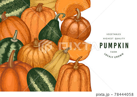 Pumpkin color design template. Vector hand drawn illustrations. Thanksgiving backdrop in retro style with pumpkin harvest. Autumn background. Pumpkin color design template. Vector hand drawn illustrations. Thanksgiving backdrop in retro style with pumpkin harvest. Autumn background. 78444058