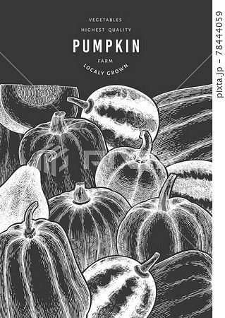 Pumpkin design template. Vector hand drawn illustrations on chalk board. Thanksgiving backdrop in retro style with pumpkin harvest. Autumn background. 78444059