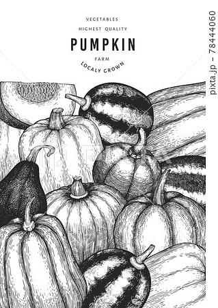 Pumpkin color design template. Vector hand drawn illustrations. Thanksgiving backdrop in retro style with pumpkin harvest. Autumn background. Pumpkin color design template. Vector hand drawn illustrations. Thanksgiving backdrop in retro style with pumpkin harvest. Autumn background. 78444060