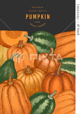 Pumpkin color design template. Vector hand drawn illustrations. Thanksgiving backdrop in retro style with pumpkin harvest. Autumn background. Pumpkin color design template. Vector hand drawn illustrations. Thanksgiving backdrop in retro style with pumpkin harvest. Autumn background. 78444061