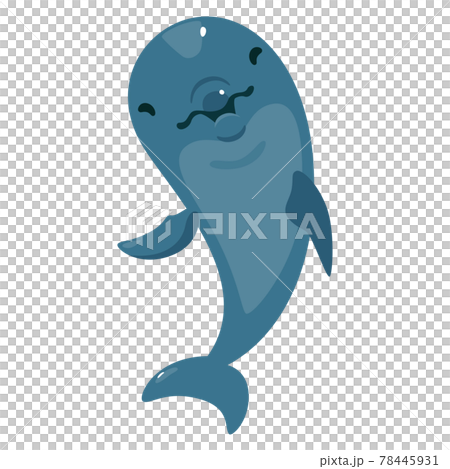 自然や水族館にいるイルカのイラスト。 78445931