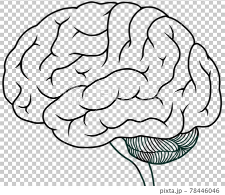 Black-and-white illustration of a professional cerebral aspect 78446046