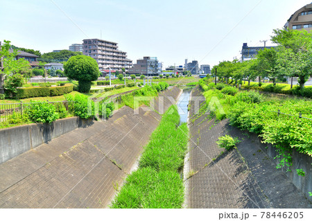 峯ヶ谷戸橋/大田川より下流方面を望む(東京都八王子市)【2021.6】 峯ヶ谷戸橋/大田川より下流方面を望む(東京都八王子市)【2021.6】 78446205