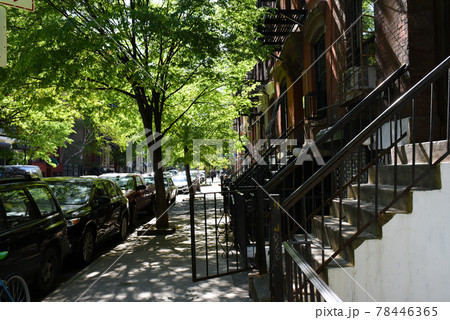 新緑のブルックリン 78446365