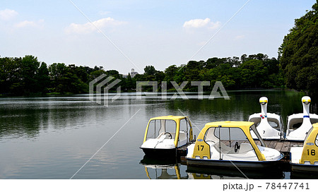 天気の良い日のスワンボートと池(高画質) 天気の良い日のスワンボートと池(高画質) 78447741