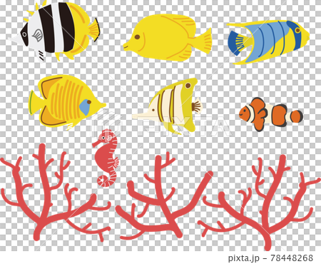 熱帯魚と珊瑚のイラストセット 78448268