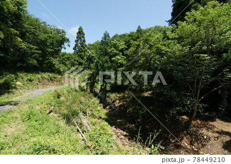 鳥取　四季の散歩　夏　美歎水源地 78449210