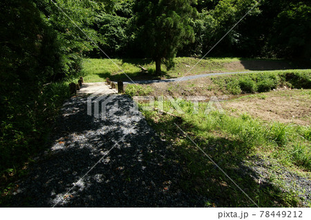 鳥取 四季の散歩 夏 美歎水源地 鳥取 四季の散歩 夏 美歎水源地 78449212