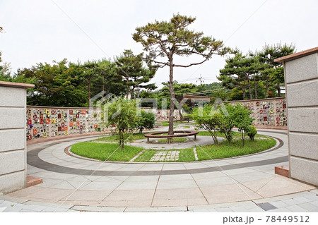 墓 墓地 公園 78449512