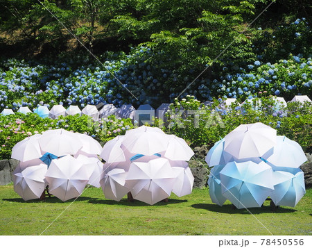 静岡県　あじさいとパラソルアート　法多山　6月 78450556