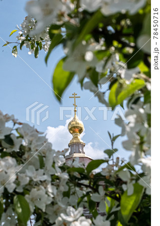 beautiful defocus floral background. Blooming spring flowers beautiful defocus floral background. Blooming spring flowers 78450716
