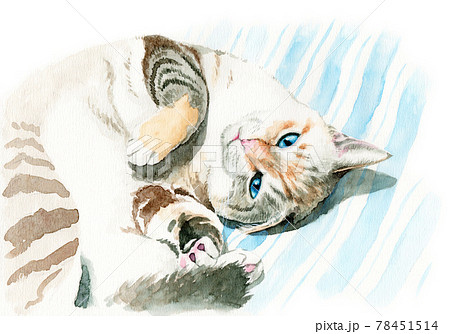 油絵  キッチン眠る猫  【送料無料】 油絵 キッチン眠る猫 【送料無料】 眠っている猫の絵画、カップルの