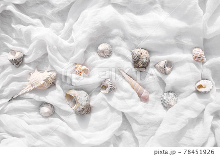 Colorful seashells on light white fabric. Travel, vacation summertime concept. Minimal summer sea background. Colorful seashells on light white fabric. Travel, vacation summertime concept. Minimal summer sea background. 78451926