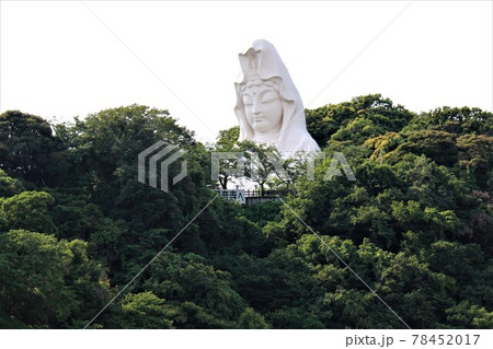 大船観音 78452017