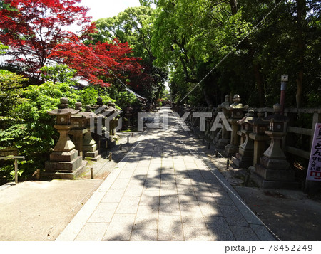 石清水八幡宮（いわしみずはちまんぐう）　上院参道の石灯籠群 78452249