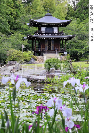 勧修寺の新緑と満開の紫陽花と花しょうぶ 78452684