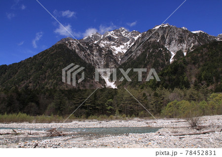 上高地から見た北アルプス（穂高岳、穂高連峰）　撮影場所：徳沢から横尾（長野県、上高地） 78452831