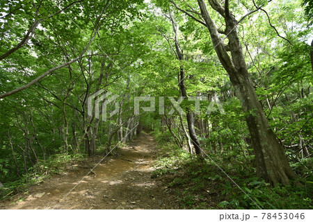 安積山（額取山） 78453046