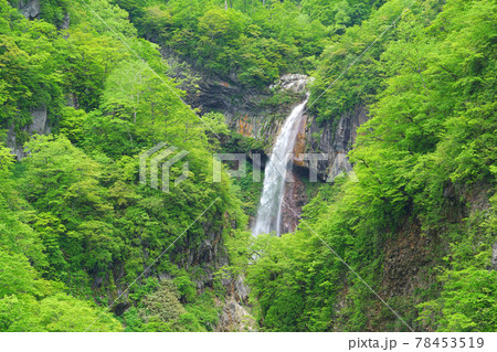 惣滝、燕温泉、妙高市、新潟県、日本 惣滝、燕温泉、妙高市、新潟県、日本 78453519