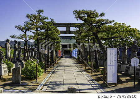 赤穂大石神社 参道 兵庫県赤穂市 赤穂大石神社 参道 兵庫県赤穂市 78453810