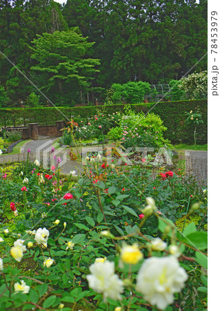 七つ洞公園 七つ洞公園 78453979