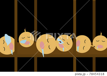 【花火イメージ】新型コロナの影響で花火大会が中止となり、倉庫で眠る花火玉 78454318