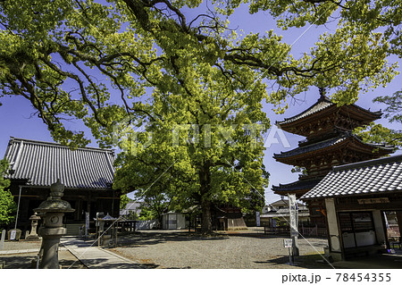 斑鳩寺 境内 兵庫県揖保郡太子町 斑鳩寺 境内 兵庫県揖保郡太子町 78454355