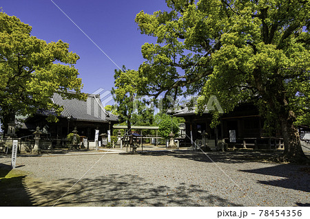 斑鳩寺 境内 兵庫県揖保郡太子町 斑鳩寺 境内 兵庫県揖保郡太子町 78454356