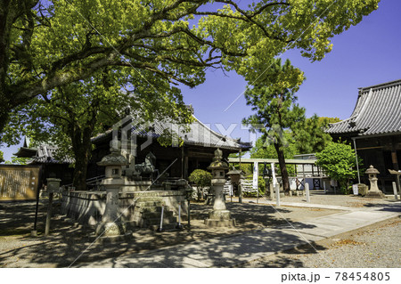 斑鳩寺 聖徳太子像 兵庫県揖保郡太子町 斑鳩寺 聖徳太子像 兵庫県揖保郡太子町 78454805