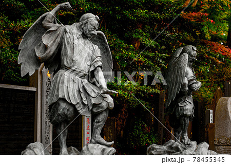 烏天狗と天狗の2像の写真素材 [78455345] - PIXTA