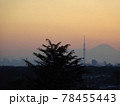 夕日と東京スカイツリー 78455443
