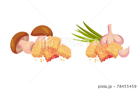 Flavored Crouton as Pieces of Seasoned Rebaked Bread Vector Set 78455459