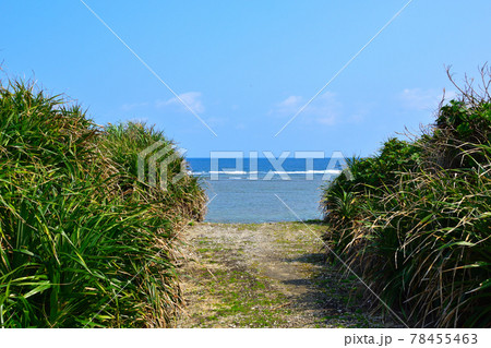 鳩間島 鳩間島 78455463