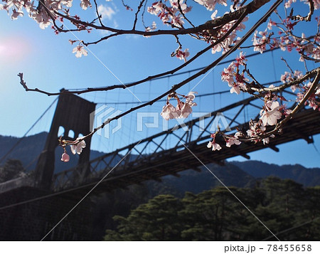 桃介橋 桃介橋 78455658