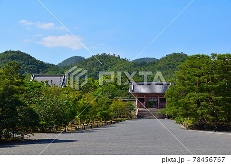 仁和寺 仁和寺 78456767