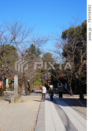 妻沼聖天山　境内　 78456992