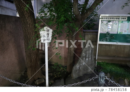 銀座の柳二世 78458158