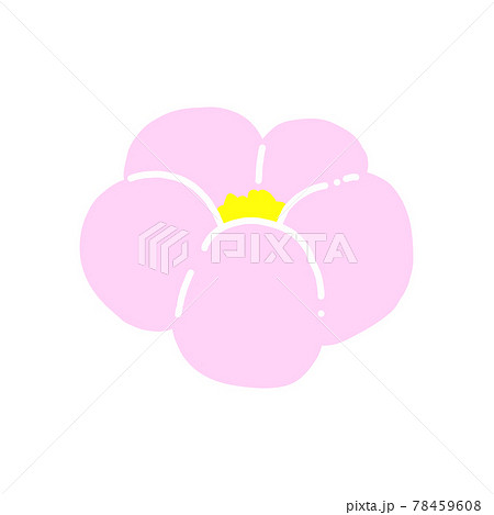 和菓子(練り切り)の手描きイラストアイコン【ピンク】 和菓子(練り切り)の手描きイラストアイコン【ピンク】 78459608